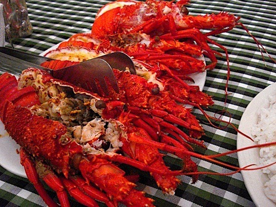 Fresh steamed lobster at Batanes Resort