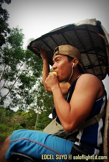 Guimaras Mangoes