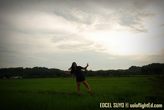 ricefields in Navalas, Guimaras