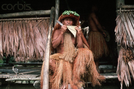 Guaymi Man of Peru in Grass Skirt Playing Panpipes