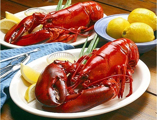 Lobsters from Maine