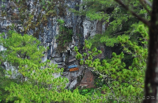 hanging coffins Sagada