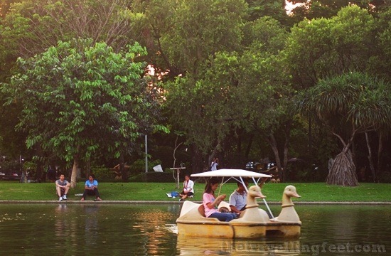 boat paddling at Chatuchak Park boat paddling at Chatuchak Park