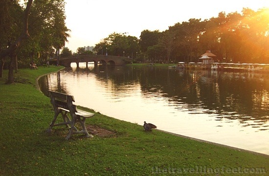 Chatuchak Park Chatuchak Park