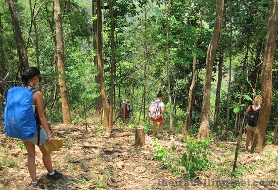 jungle trek