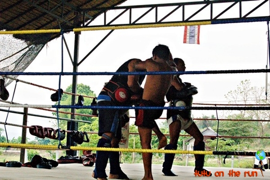 muya thai training in Thailand muya thai training in Thailand