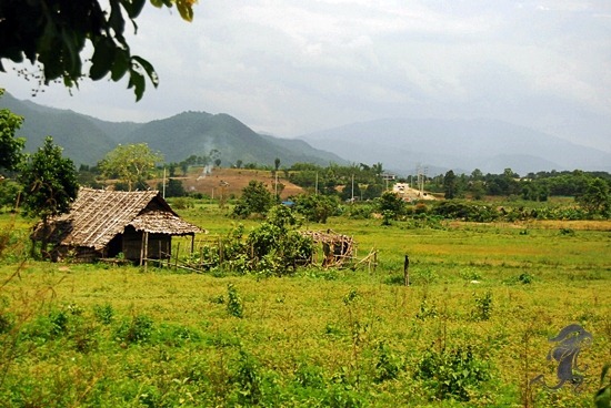 Pai countryside Pai countryside