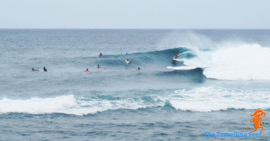 Siargao Surfing Siargao Surfing