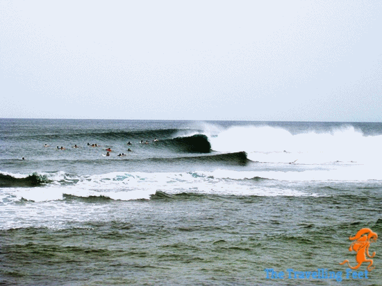 surfing in Siargao surfing in Siargao