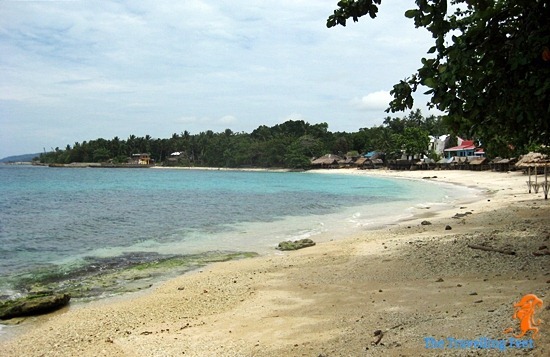 allen beach samar allen beach samar