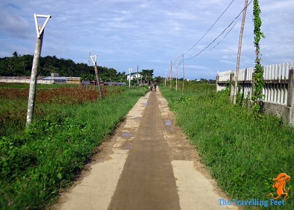 road in Biri