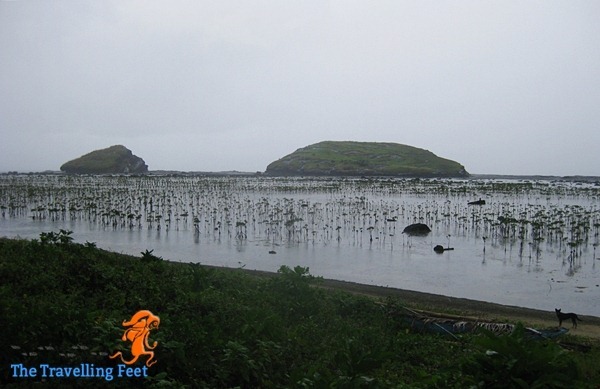 rock formations in biri