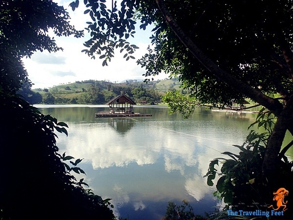 Lake Apo Lake Apo