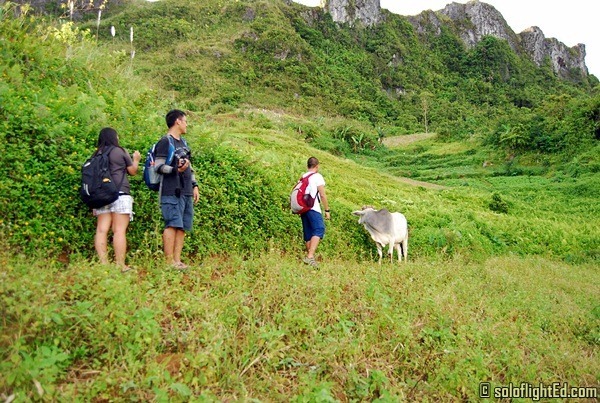 climbing osmena peak climbing osmena peak