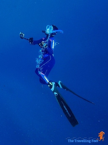freediving gear freediving gear