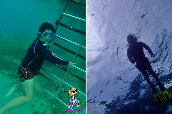 freediving session freediving session