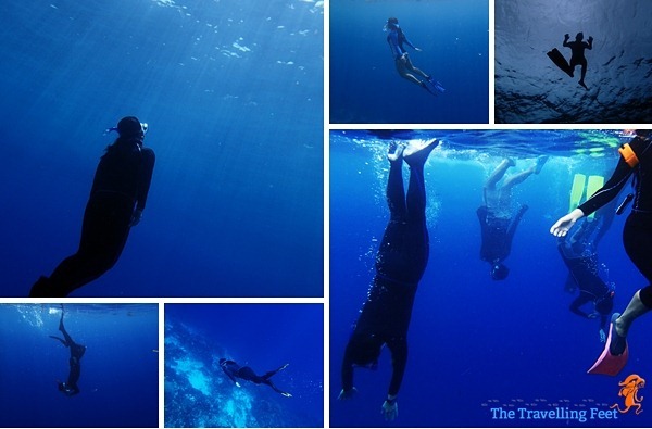 freediving