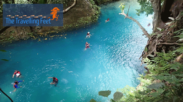 Back Cliff Jumping Back Cliff Jumping